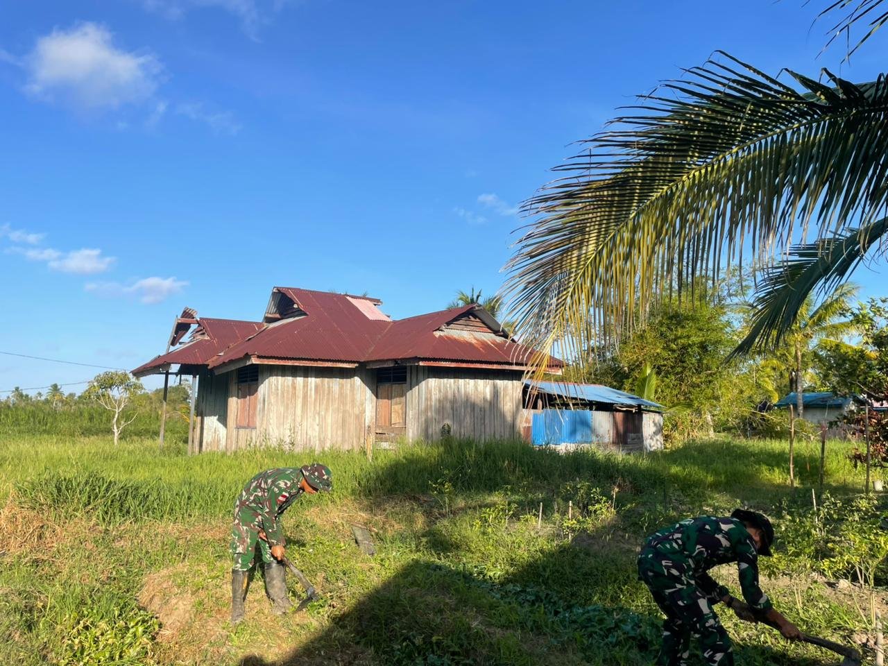 Satgas Yonif 123/Rajawali Perkuat Ketahanan Pangan Warga Papua. - thewasesanews.com