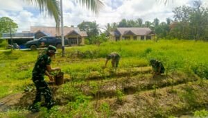 Satgas Yonif 123/Rajawali Perkuat Ketahanan Pangan Warga Papua. - thewasesanews.com
