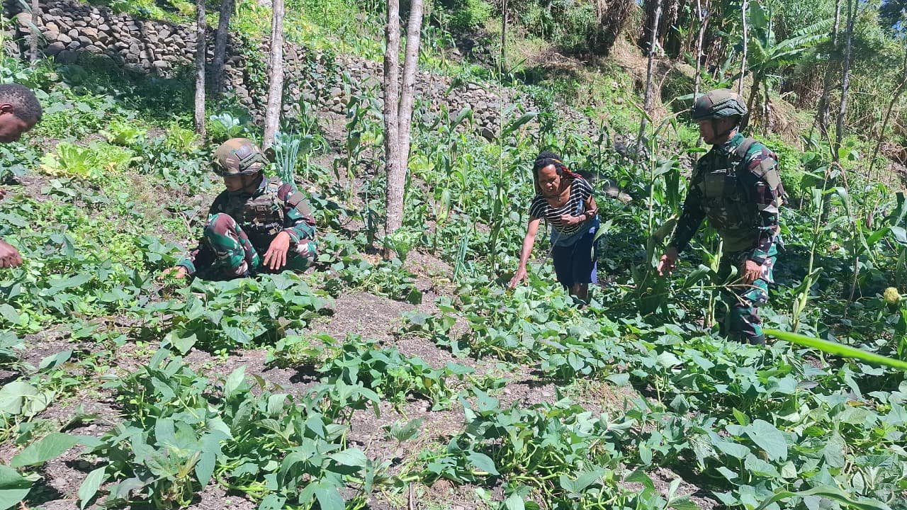 Ketahanan Pangan di Pedalaman Papua: Satgas Yonif 521/DY Dampingi Warga. - thewasesanews.com