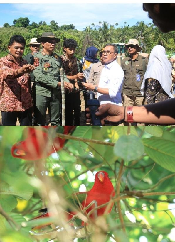 Bupati Ikram Malan Sangadji Lepasliarkan Burung Nuri Ternate di Weda. - thewasesanews.com