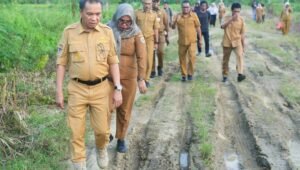 Bupati Ikram Tinjau Infrastruktur Transmigrasi Waleh. - thewasessnews.com