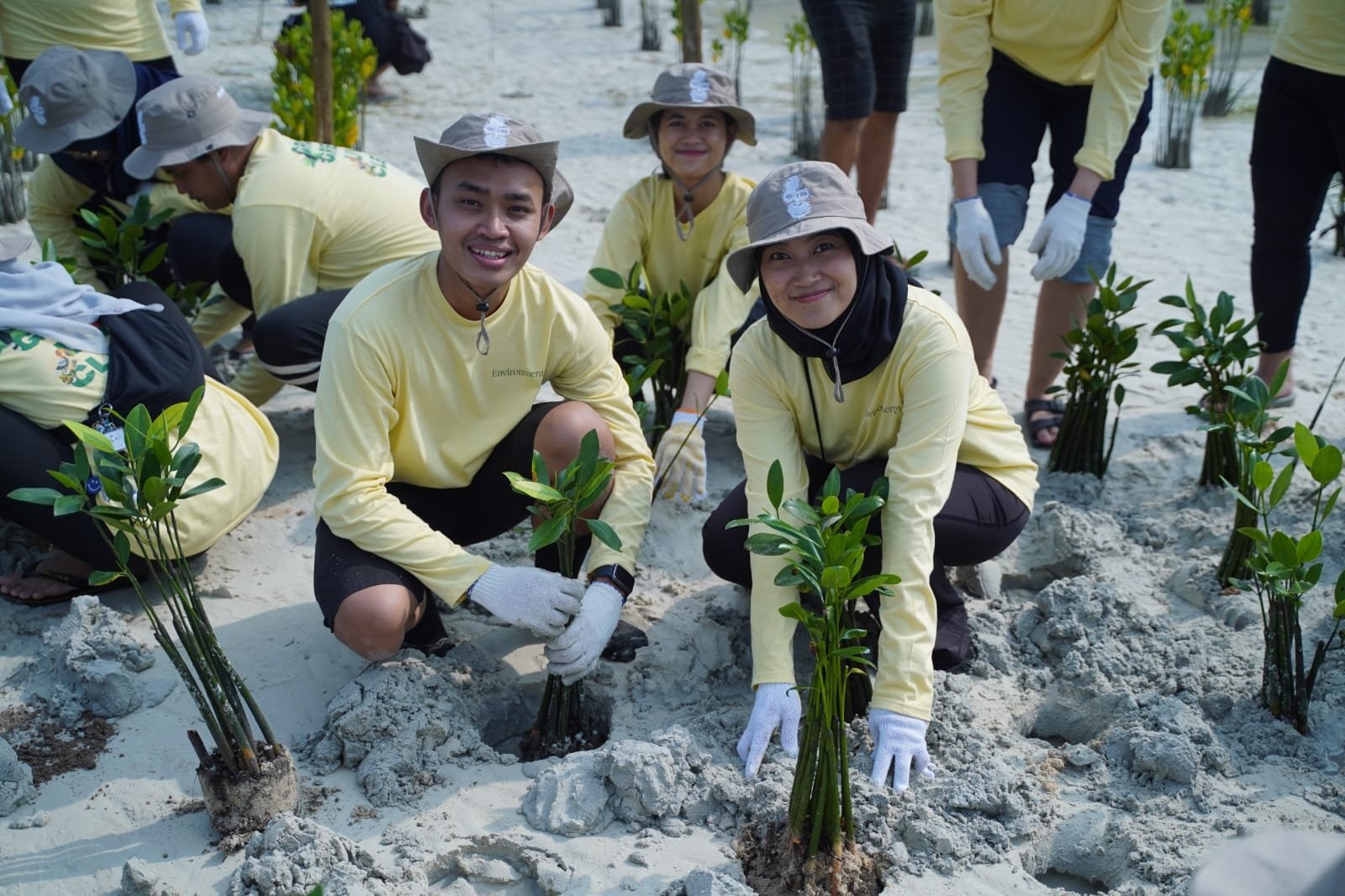 Pertamina Hulu Indonesia Tanam Mangrove Pulau Pari. - thewasesanews.com