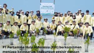 Pertamina Hulu Indonesia Tanam Mangrove Pulau Pari. - thewasesanews.com