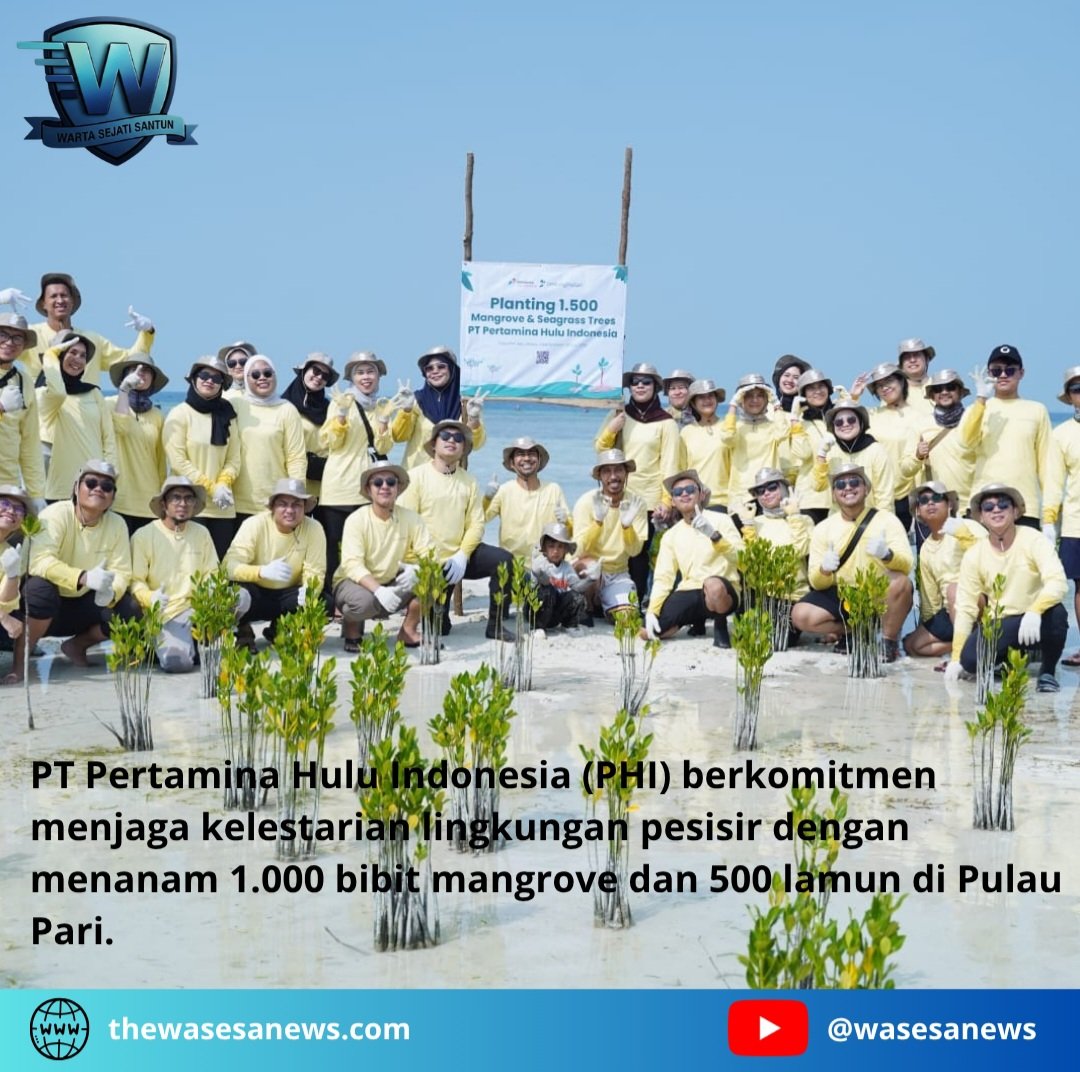 Pertamina Hulu Indonesia Tanam Mangrove Pulau Pari. - thewasesanews.com
