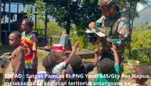Satgas Yonif 645 Gty Gelar Anjangsana di Distrik Napua. - thewasesanews.com