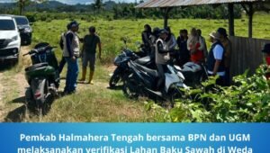 Pemkab Halmahera Tengah Verifikasi Lahan Baku Sawah. - thewasesanews.com