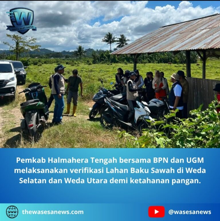 Pemkab Halmahera Tengah Verifikasi Lahan Baku Sawah. - thewasesanews.com