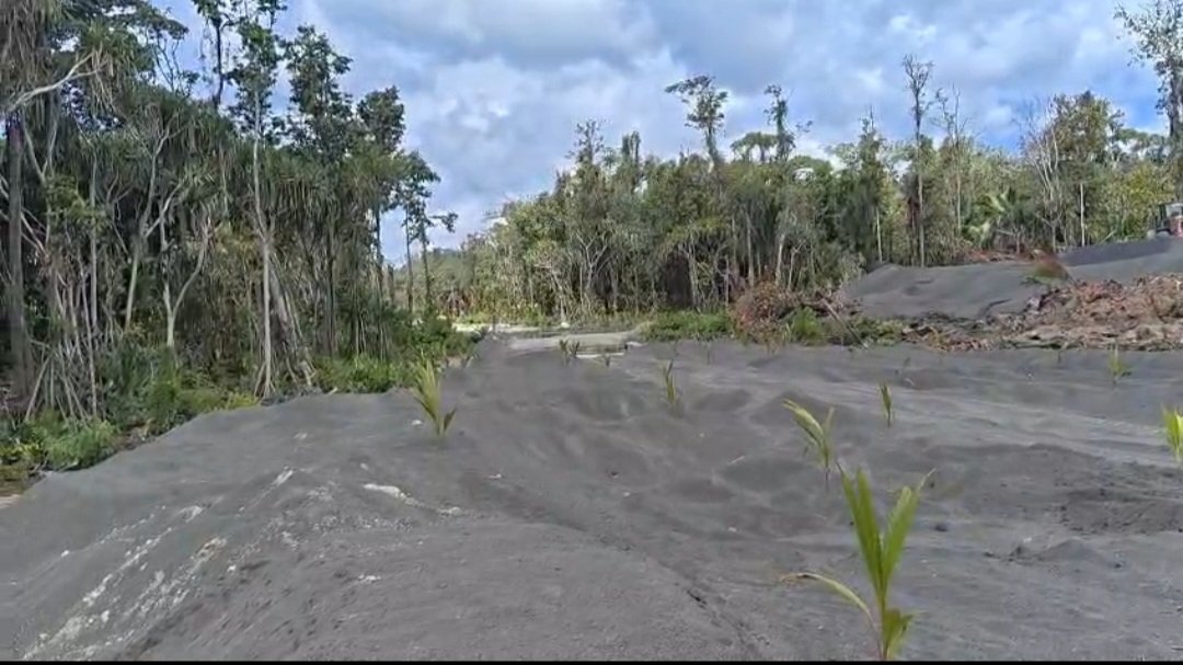 PT IWIP Penggusuran Lahan Warga Tanpa Izin Lukolamo. - thewasesanews.com