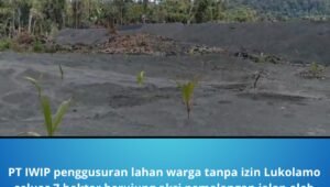 PT IWIP Penggusuran Lahan Warga Tanpa Izin Lukolamo. - thewasesanews.com