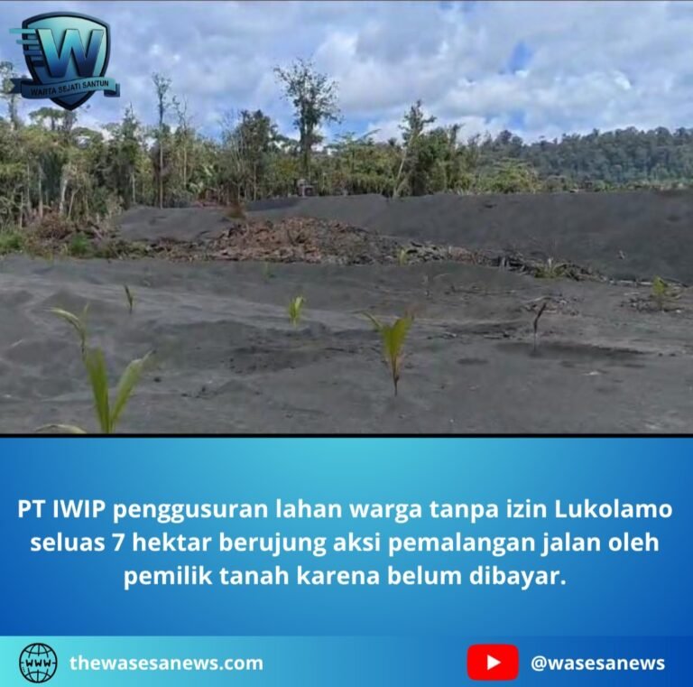 PT IWIP Penggusuran Lahan Warga Tanpa Izin Lukolamo. - thewasesanews.com