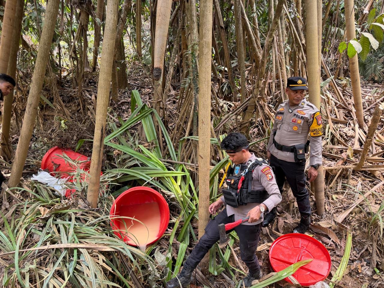 polres halmahera tengah musnahkan lokasi produksi miras ilegal. - thewasesanews.com