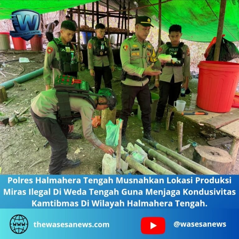 polres halmahera tengah musnahkan lokasi produksi miras ilegal. - thewasesanews.com