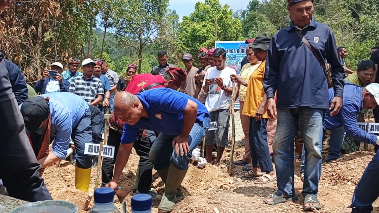 bupati buru selatan pimpin gerakan menanam kasbi. - thewasesanews.com