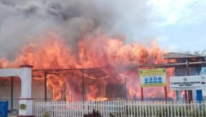 kebakaran pt sempurna tubang camp taliabu. - thewasesanews.com