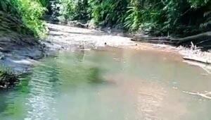 pt mutu diduga timbun anak sungai. - thewasesanews.com