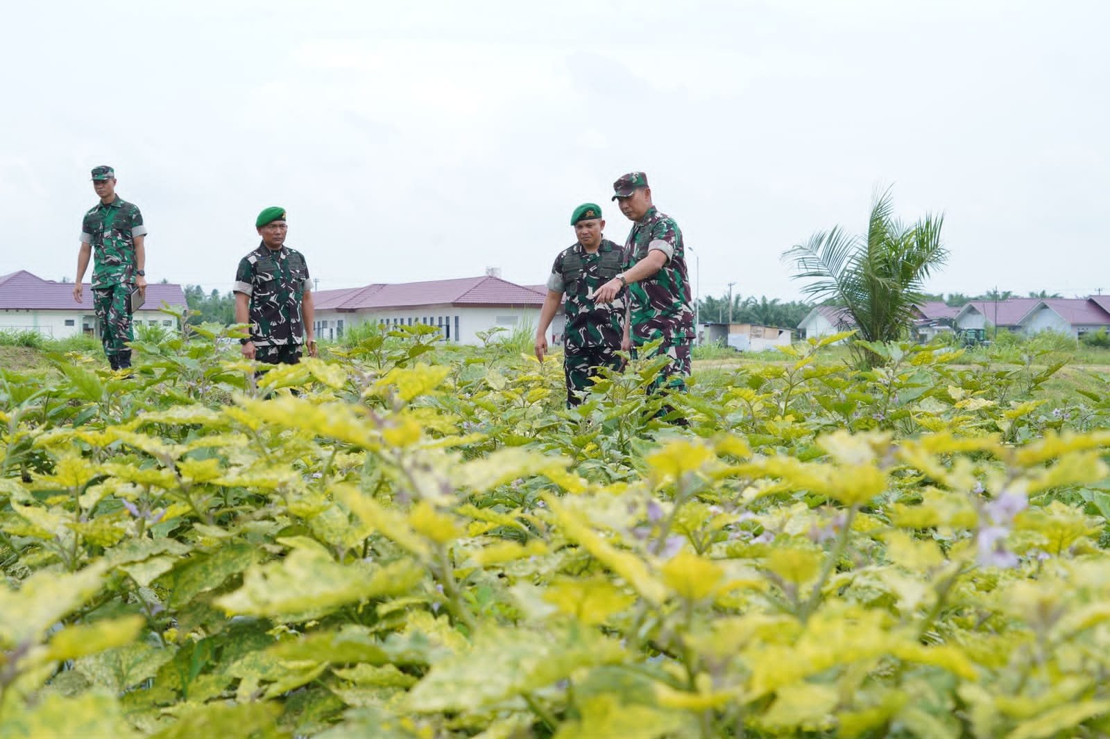 Pangdam I/BB Tinjau Yonif TP 852/ABY. - thewasesanews.com