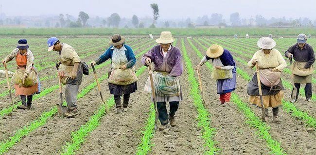 Revisi Total RUU Reforma Agraria. - thewasesanews.com