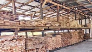 Penampungan Kayu Diduga Ilegal di Lukolamo-Lelilef. - thewasesanews.com