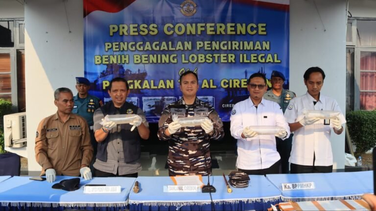 TNI AL Gagalkan Penyelundupan Benih Bening Lobster. - thewasesanews.com