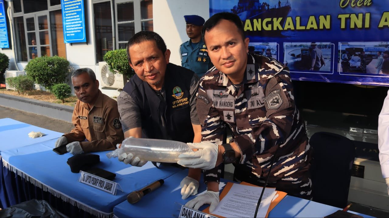 TNI AL Gagalkan Penyelundupan Benih Bening Lobster. - thewasesanews.com