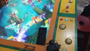 Judi Tembak Ikan DS Menantang Hukum. - thewasesanews.com