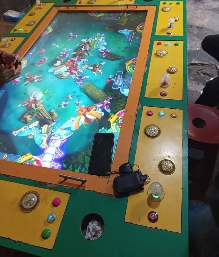 Judi Tembak Ikan DS Menantang Hukum. - thewasesanews.com