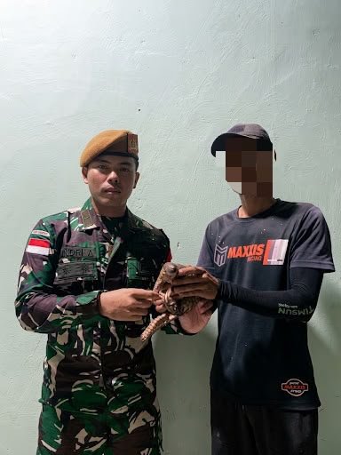 Warga Serahkan Trenggiling Hidup kepada Satgas Yonarmed 19. - thewasesanews.com