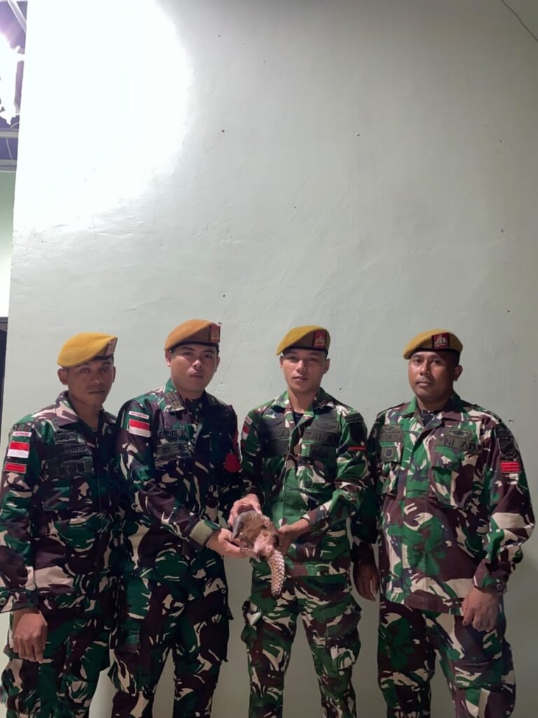 Warga Serahkan Trenggiling Hidup kepada Satgas Yonarmed 19. - thewasesanews.com