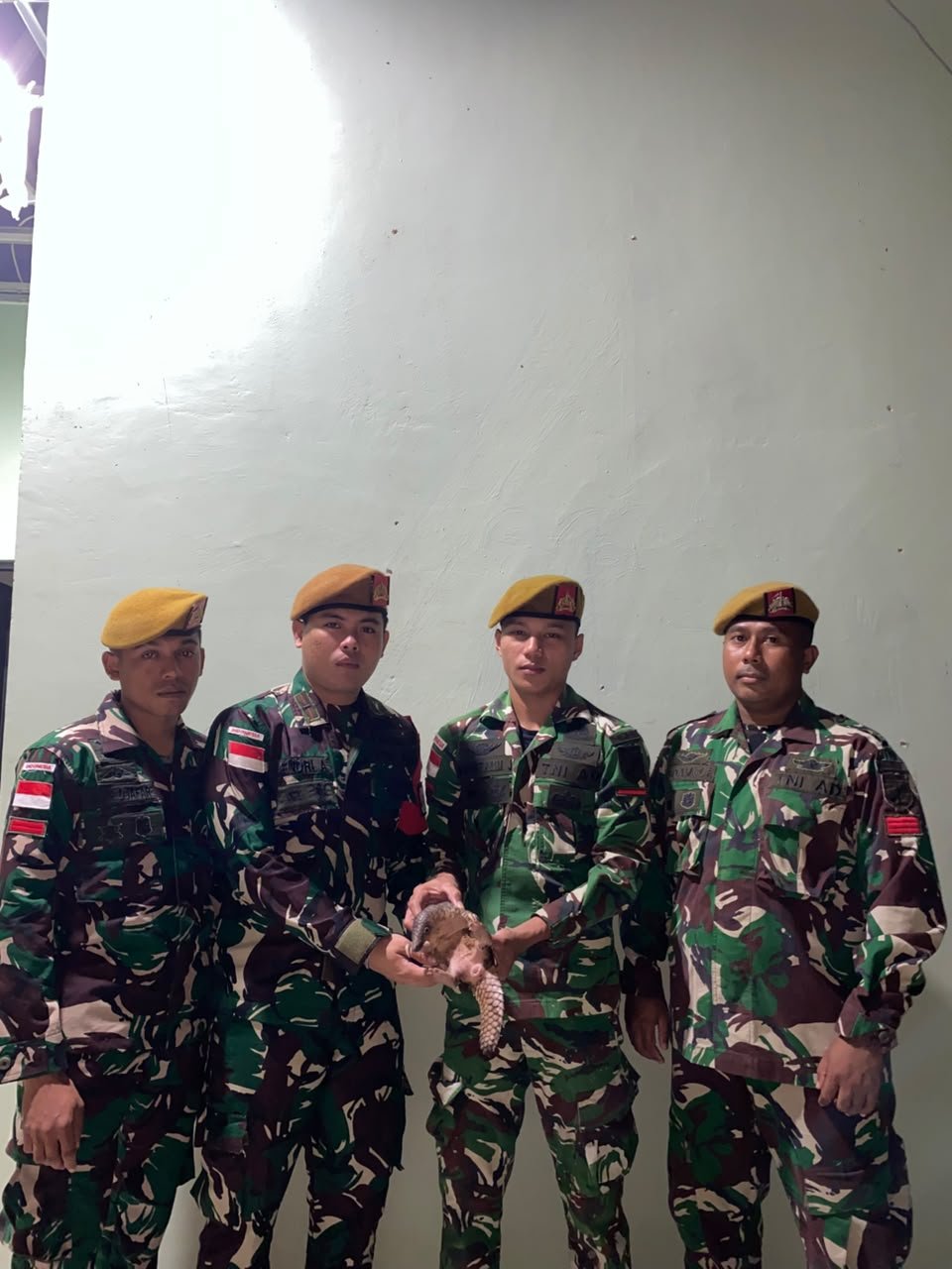Warga Serahkan Trenggiling Hidup kepada Satgas Yonarmed 19. - thewasesanews.com