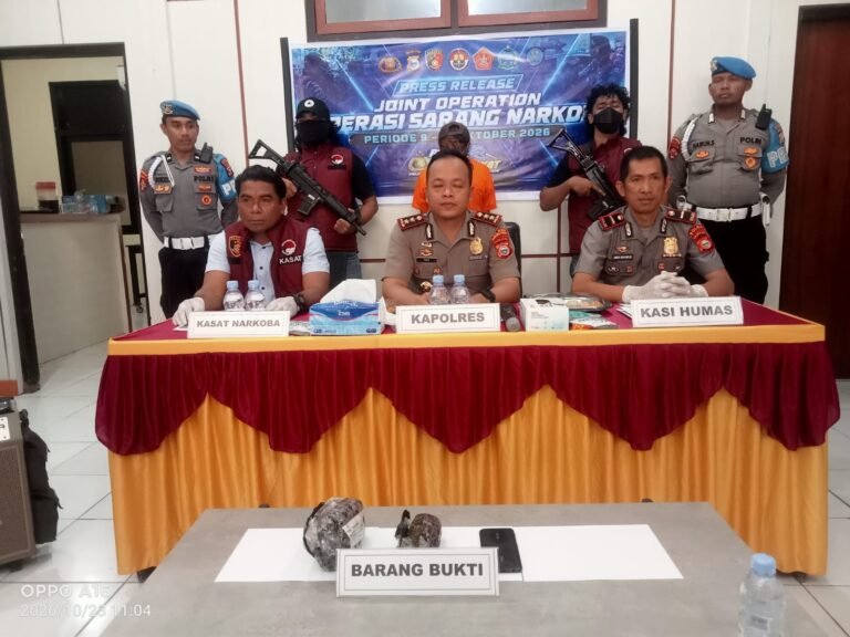 Ganja 80,20 Gram Masuk Halteng Lewat Ekspedisi Polisi Buru Pemasok dari Papua. - thewasesanews.com