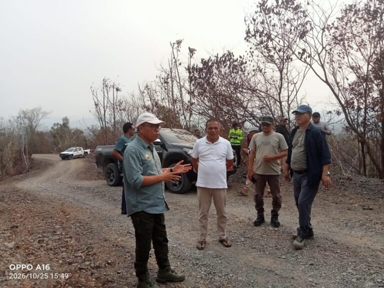 Bupati Ikram Targetkan Jalan Fagogoru Jadi Jalur Utama Halmahera. - thewasesanews.com
